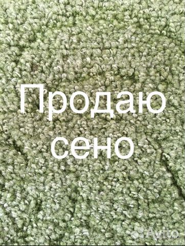 Продаю сено купить на Зозу.ру - фотография № 1