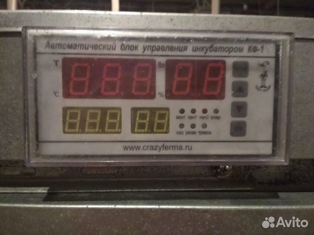 Автоматически инкубатор "аи-528" купить на Зозу.ру - фотография № 5