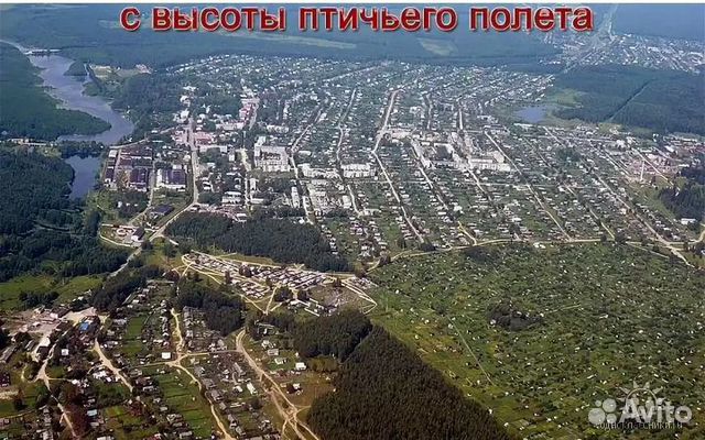 Красная Горбатка Фото