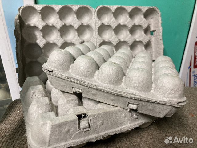 Упаковка для перепелиных яиц