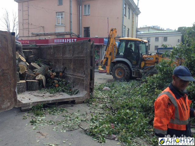 Расчистка участка / Спил деревьев