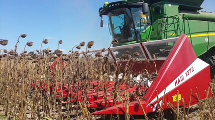 Жатка Унисибмаш НАШ, 2022