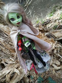 Monster high ooak кукла Венера