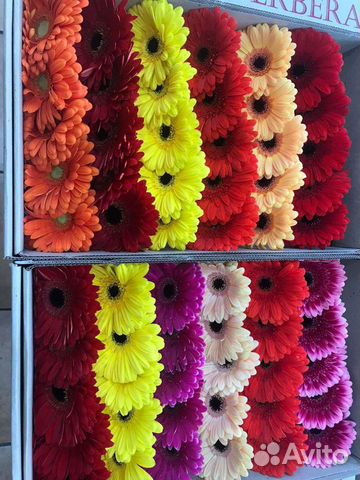 Искусственные цветы челябинск купить оптом эустома фрезия фото