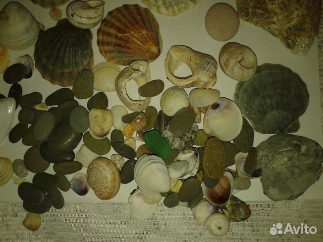 Ракушки и камни морские для аквариума