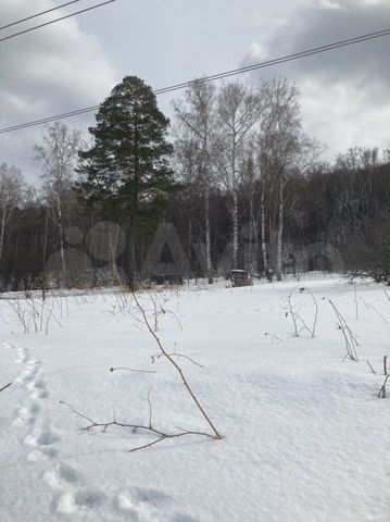 Участок 12,5 сот. (СНТ, ДНП)