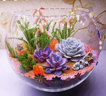 Флорариум премиум класса