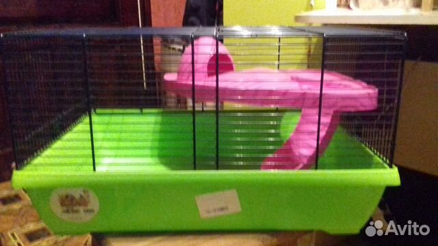 Для грызунов и птиц размер разный центр