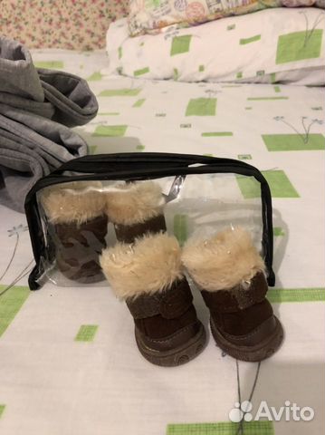 Ботинки для собачки