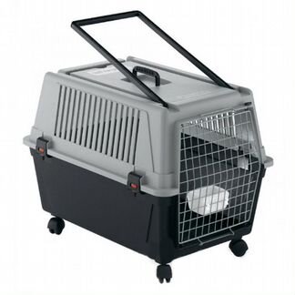 Аренда переноска для собаки