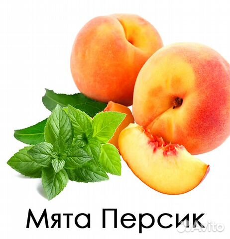 Мята с разными ароматами (43 сорта)