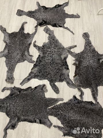 Шкура каракуль, каракульча