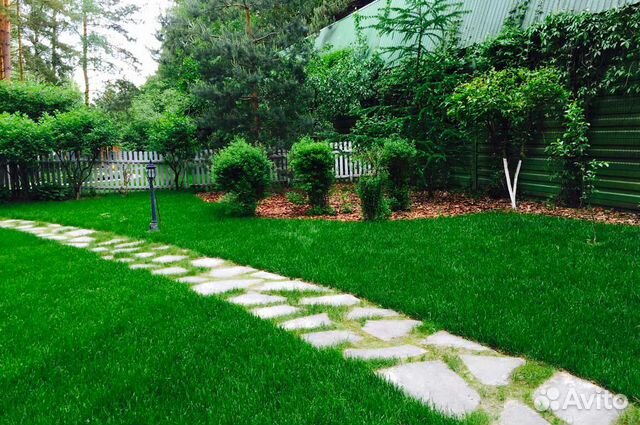 Семена газонной травы