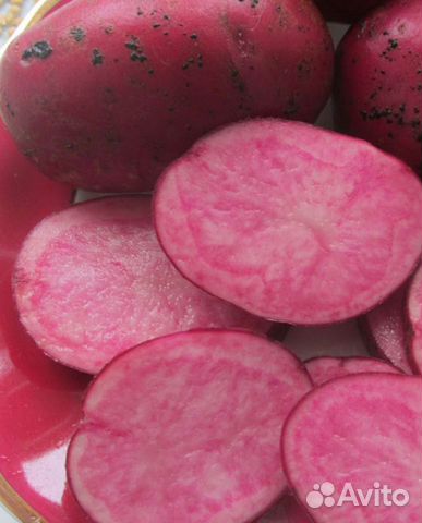 Картофель с красной мякотью : роземария, клюква