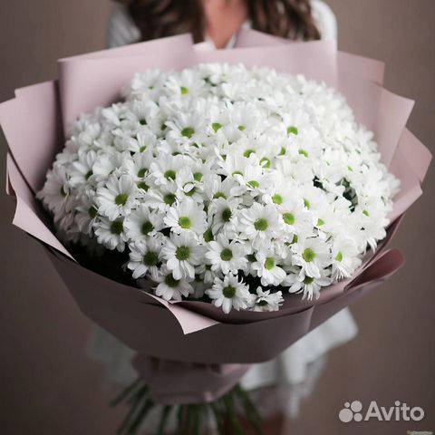 Ромашка 25 Цветы Доставка