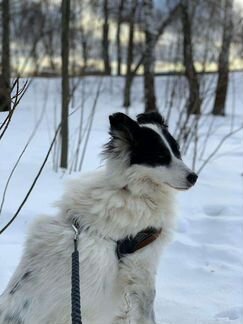 Скромная девочка мечтает о любящей семье