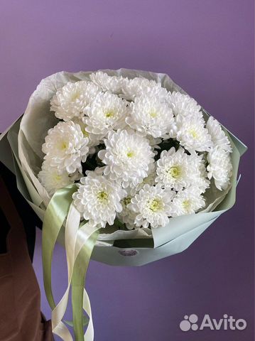 Хризантема. Букет из Хризантем. Цветы. Доставка