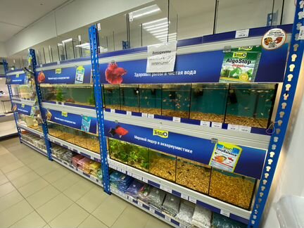 Аквариумные рыбки