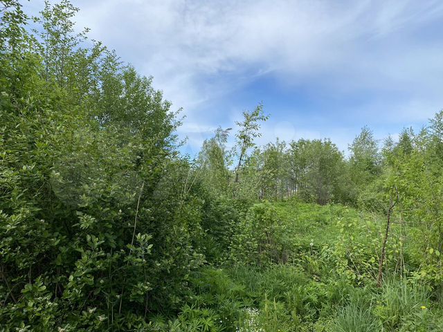 Участок 17,8 сот. (ИЖС)