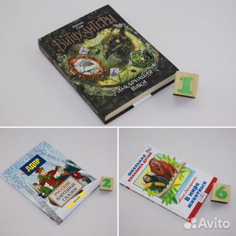 Инкарнация Вики