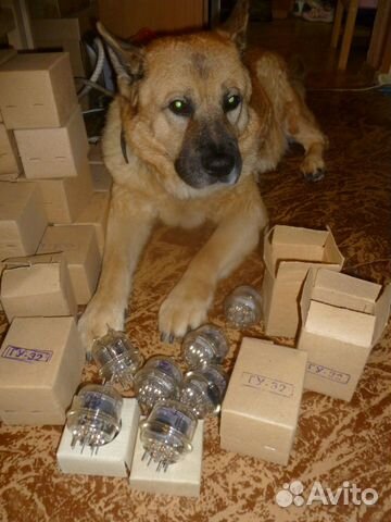 Радиолампы из СССР, панельки рш-27.для ин-2 ин-8