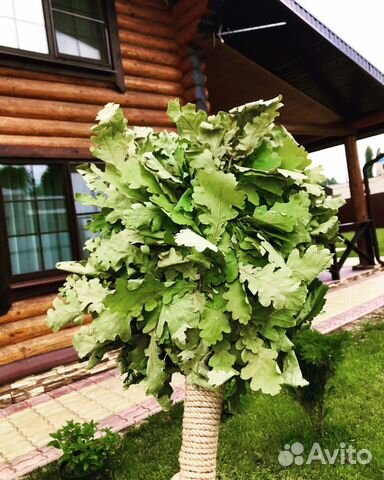 Баня сауна с бассейном