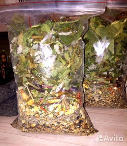 Корм для дегу и шиншилл полнорационный