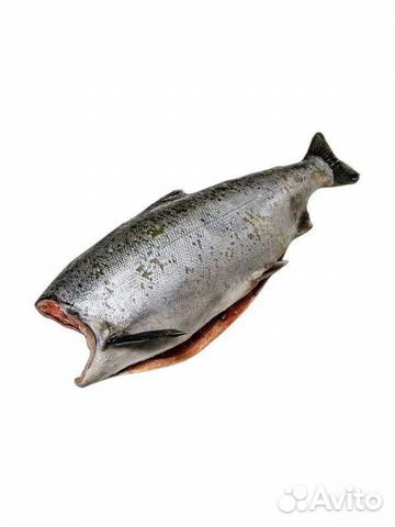 Как выглядит мясо рыбы чавычи