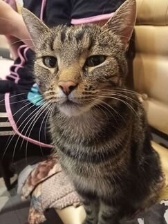 Настройка спутниковой антенны