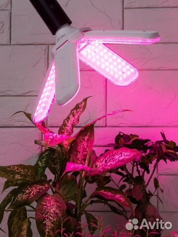 Фитолампа красно-синего спектра 36Вт E27