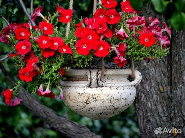 Кашпо подвесные