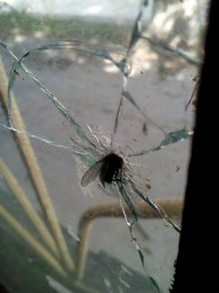 Замена и ремонт автомобильных стекол