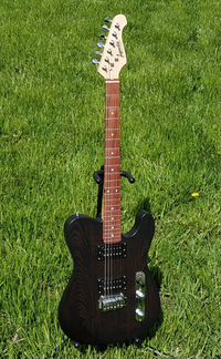 Электрогитара Inspector Guitars TT-7