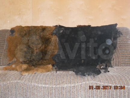 Овечьи шкуры выделанные