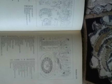 Картинный словарь современного английского языка