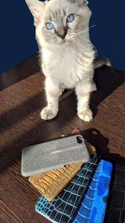 Чехлы для iPhone 7,8,SE2020