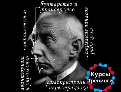 Физиогномика Научись читать по лицам. Большой курс