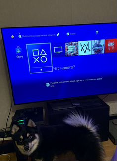 Sony playstation 4 ps4 подойдёт для подарка