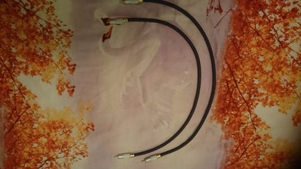 Межблочный кабель Belsis OFC