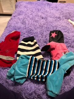 Одежда для собак