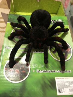 Тарантул tarantula