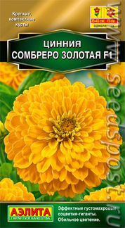 Рассада однолетников, цветочки, цинния