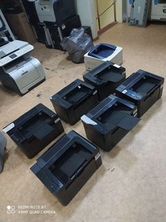 Принтер HP Pro P1606dne
