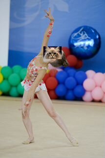 Купальник для xудожественной гимнастики