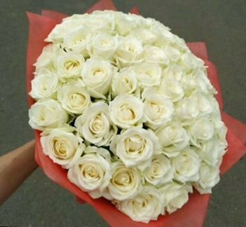 Роза, 31 Роза, 51 Роза, 101 Роза, Розы, Цветы, Бук