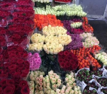 Розы цветы опт букеты 51,101роза доставка