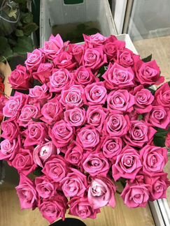 Роза 51шт букет 52см
