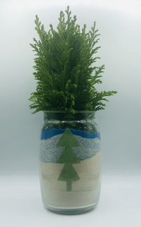 Флорариум Новогодний Кипарис