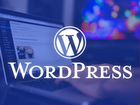Сборка и настройка сайтов на WordPress
