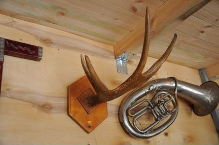 Рога оленьи